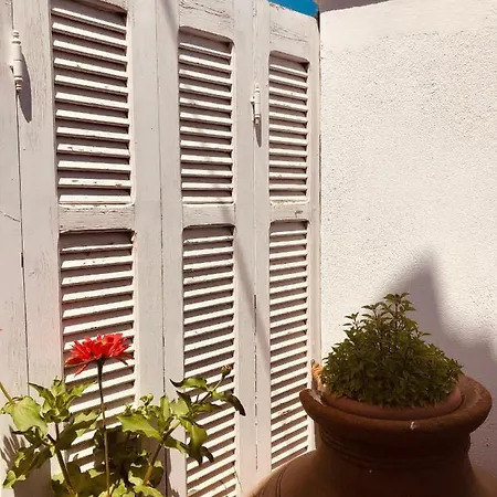 Semesterbostad Anastasia's House